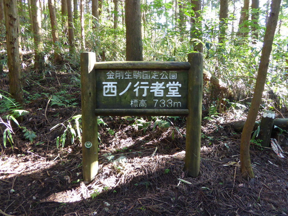 P1040010_mid.jpg