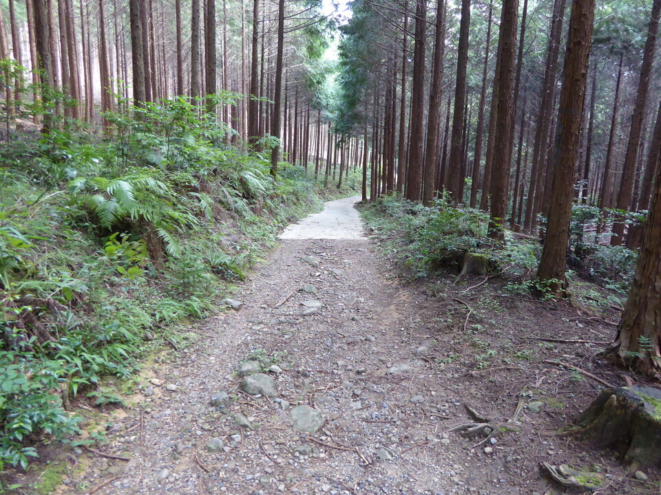 P1040049_mid.jpg