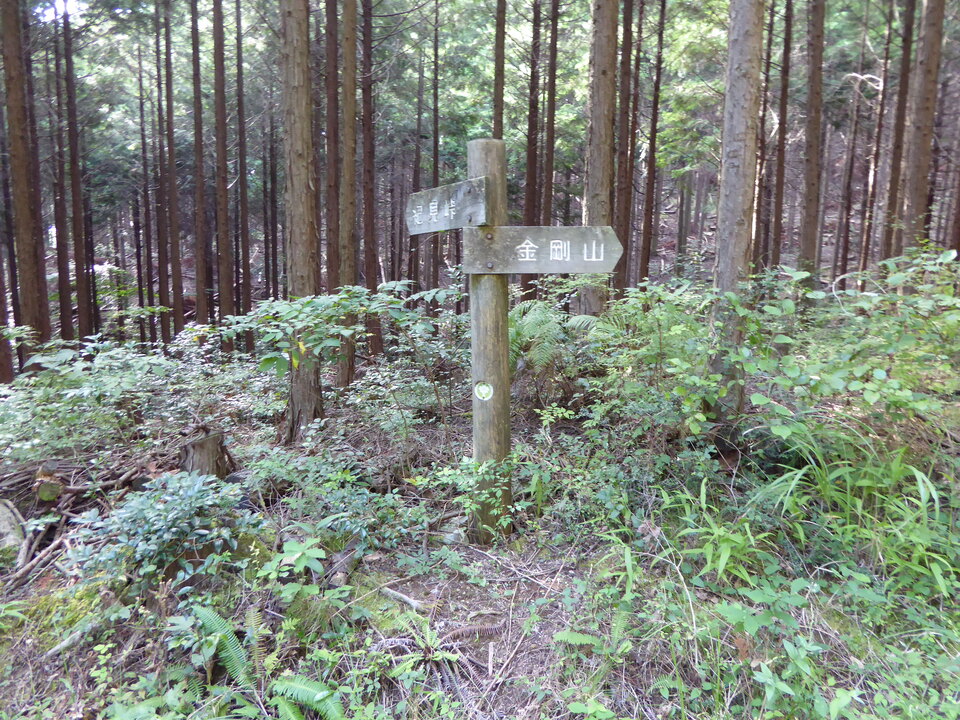 P1040051_mid.jpg