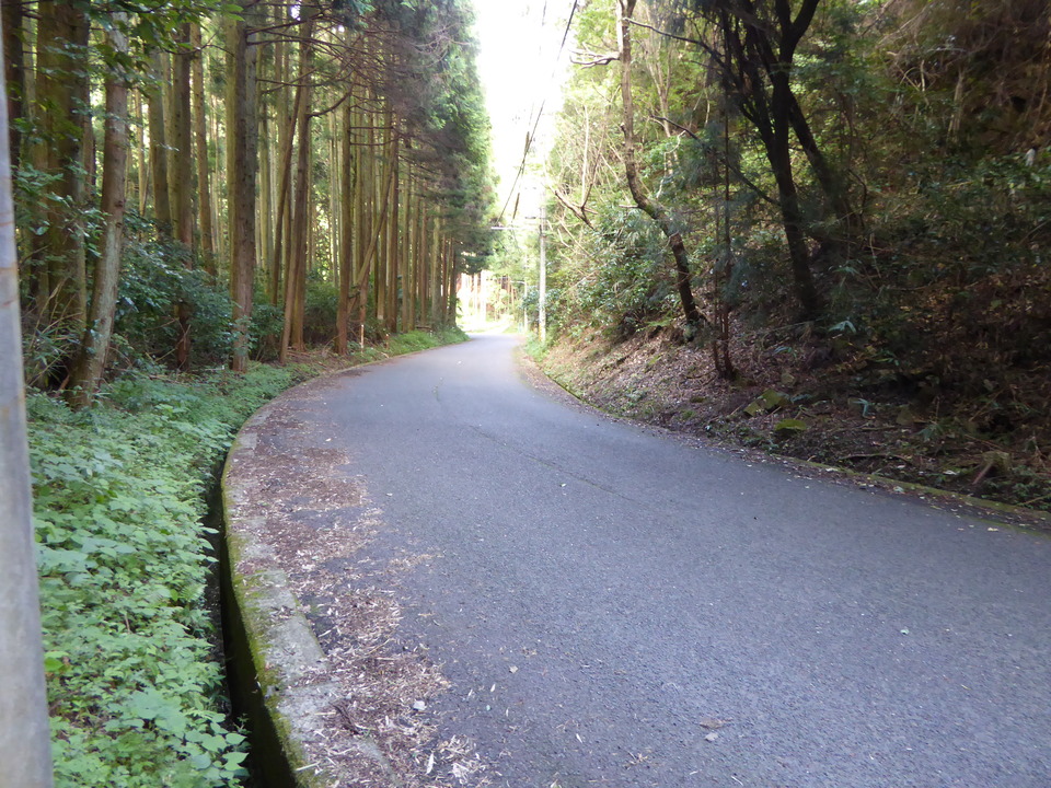 P1040065_mid.jpg