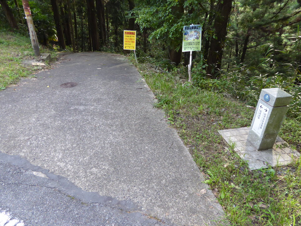 P1040071_mid.jpg