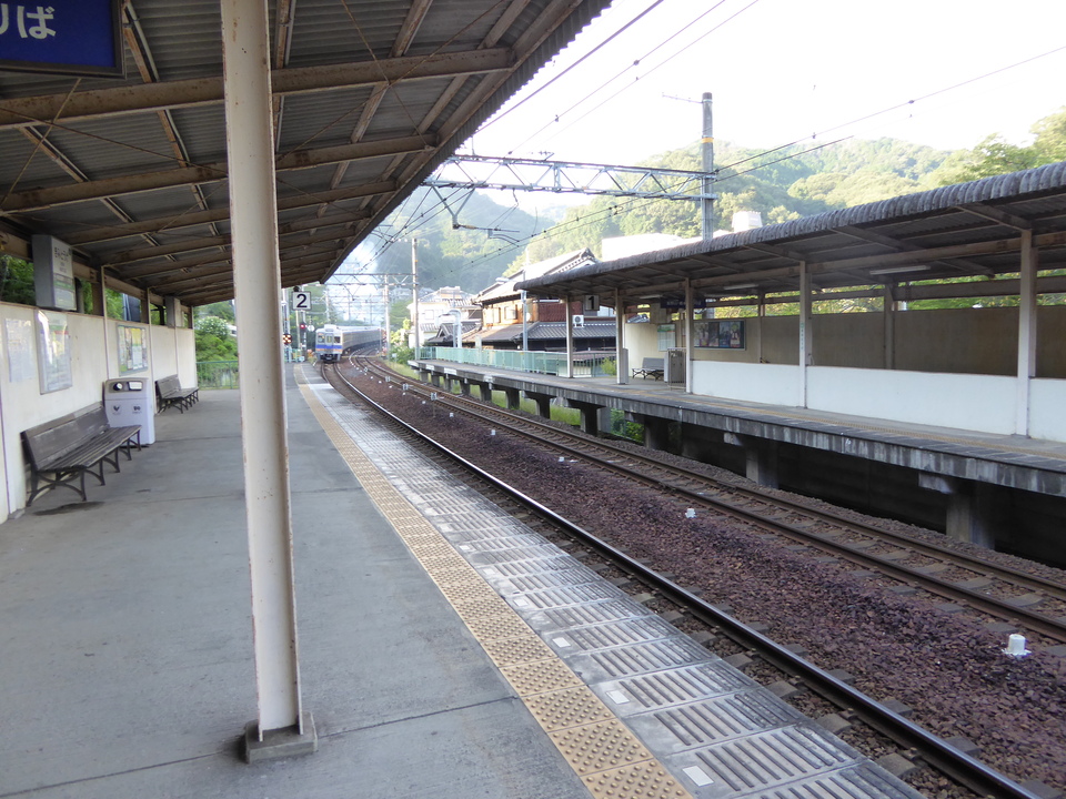 P1040078_mid.jpg