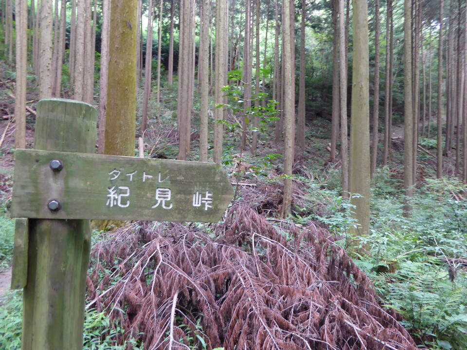 P1040095_mid.jpg