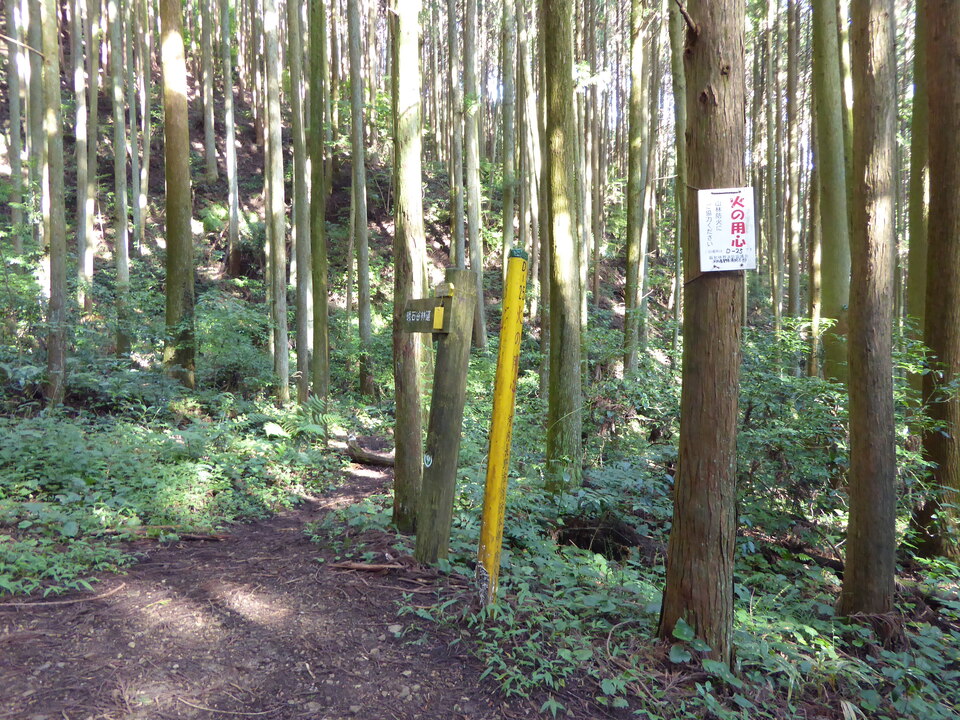 P1040121_mid.jpg