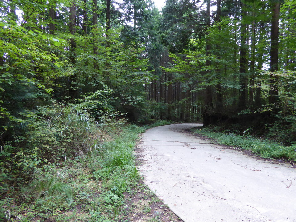 P1040152_mid.jpg