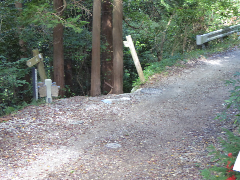 P1040196_mid.jpg