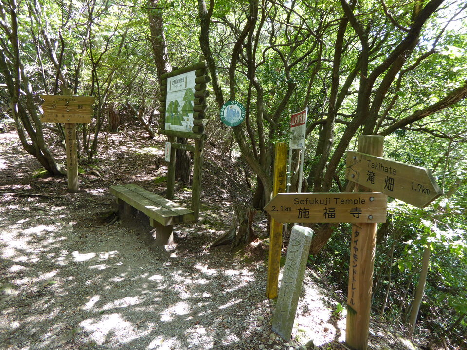 P1040213_mid.jpg