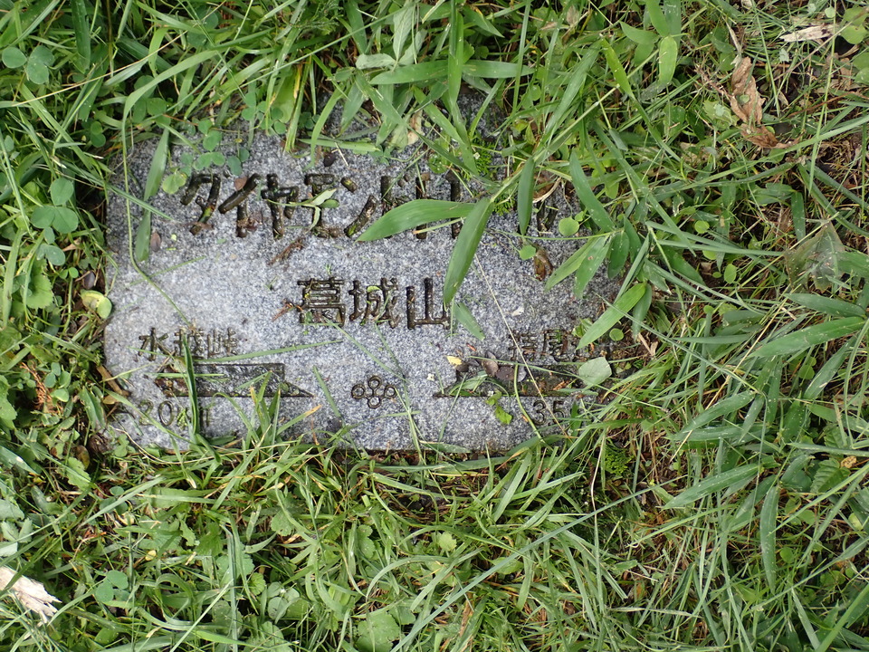 P7055643_mid.jpg