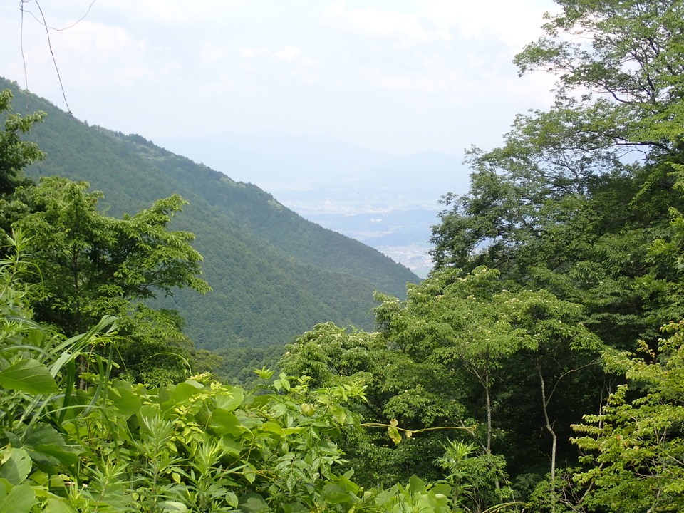 P7055673_mid.jpg