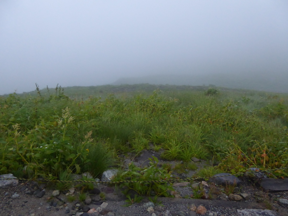 P1020914_mid.jpg