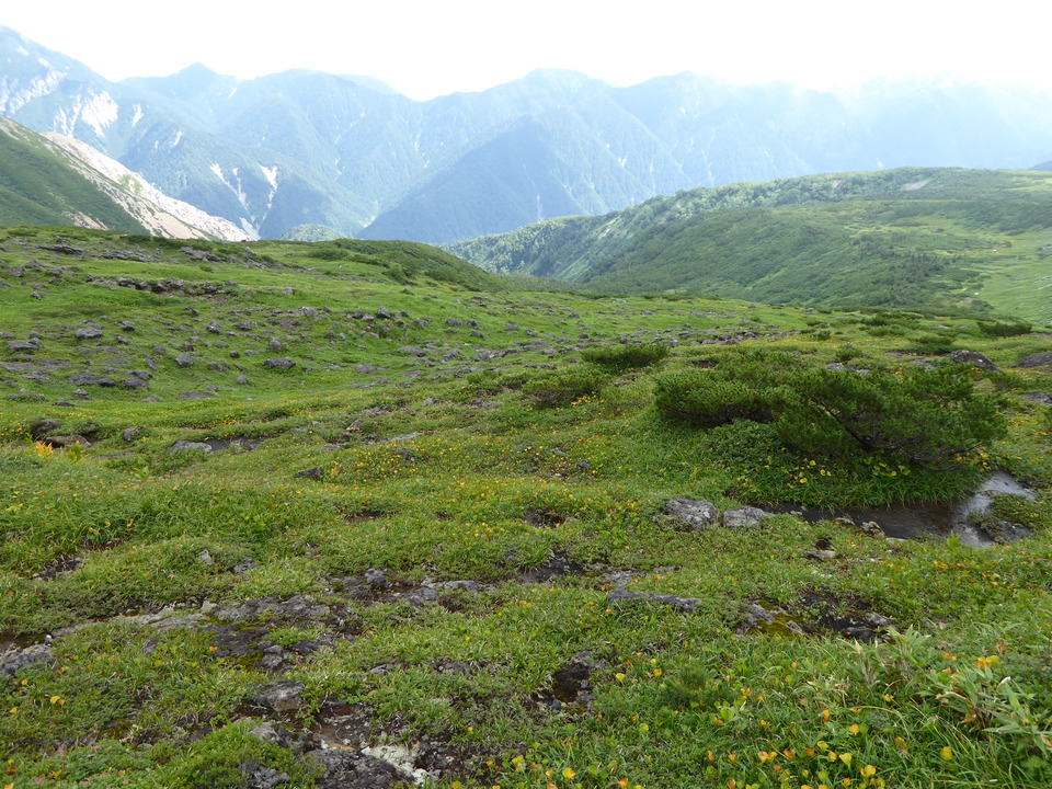 P1020941_mid.jpg