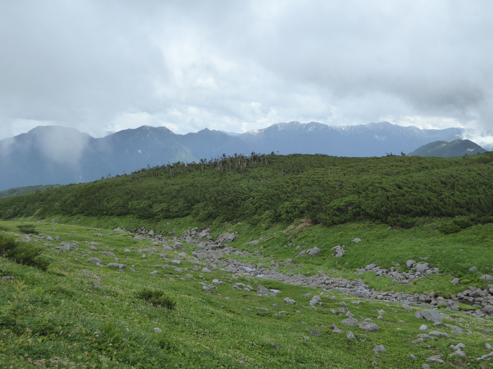 P1020945_mid.jpg