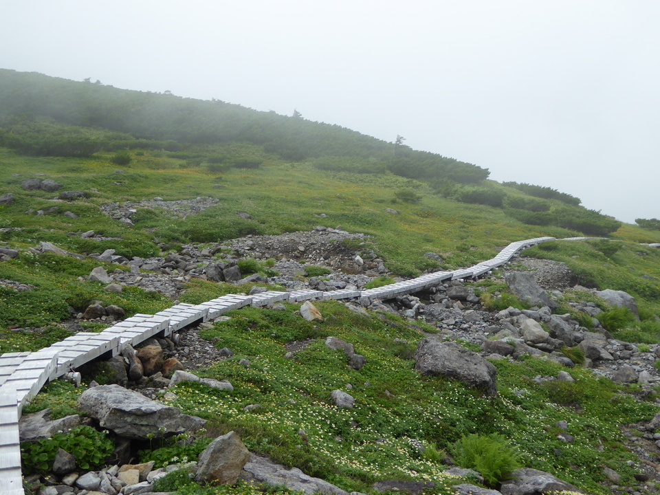 P1020953_mid.jpg
