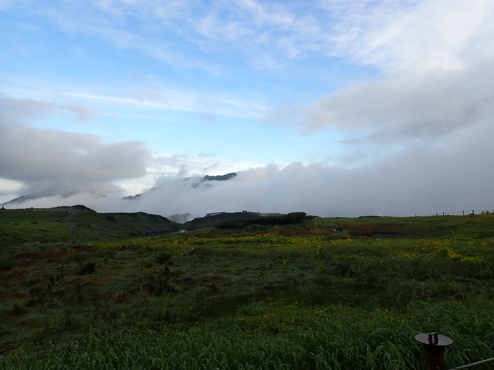 P8262313_mid.jpg
