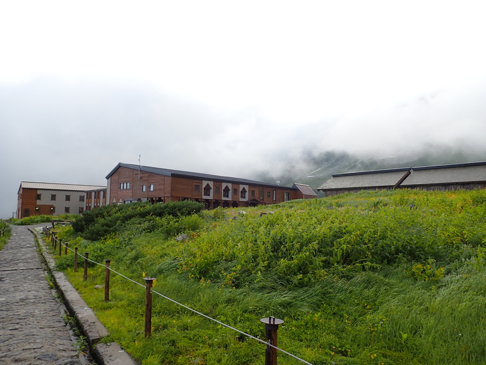 P8262315_mid.jpg