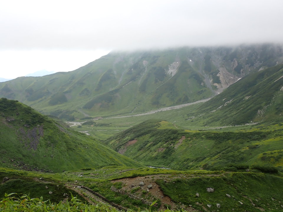 P8262319_mid.jpg
