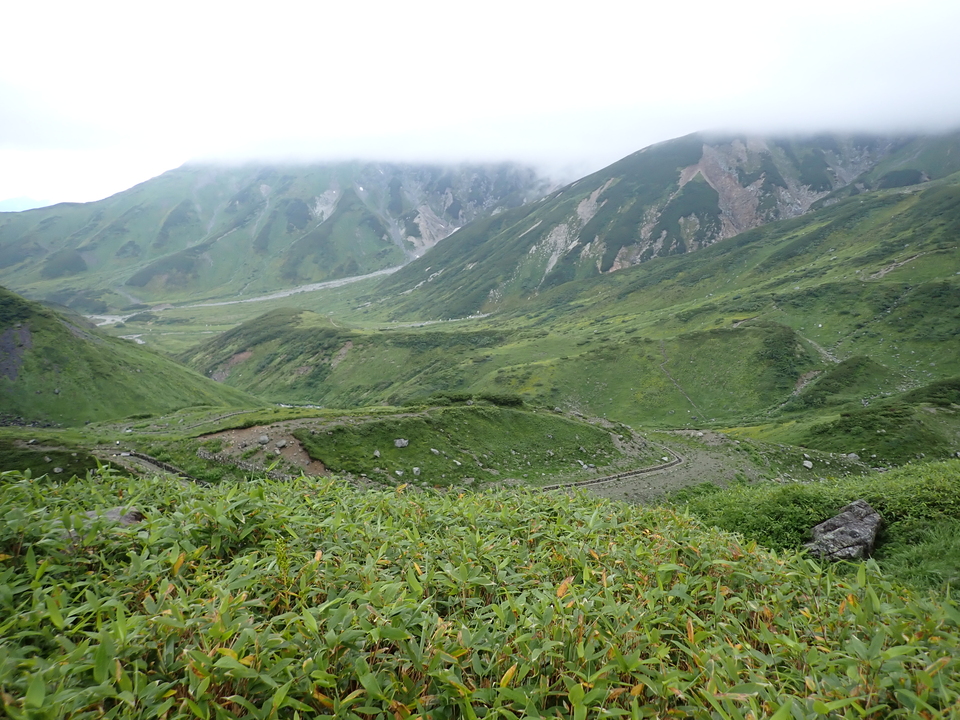 P8262320_mid.jpg