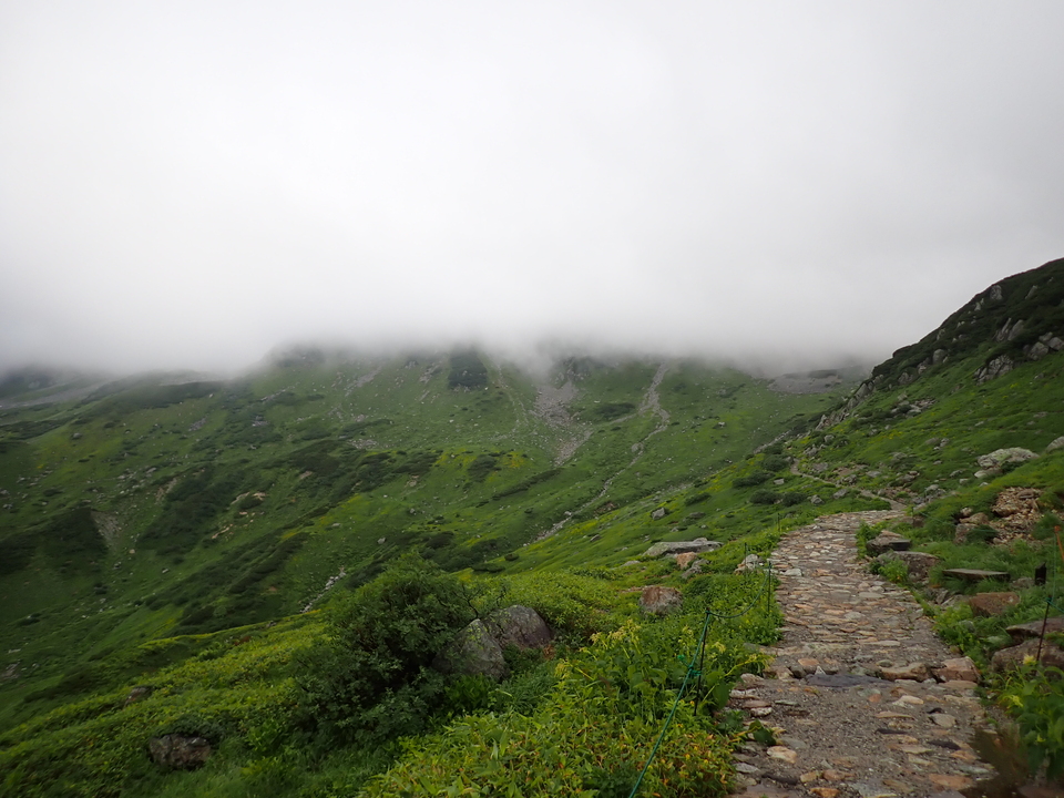 P8262321_mid.jpg