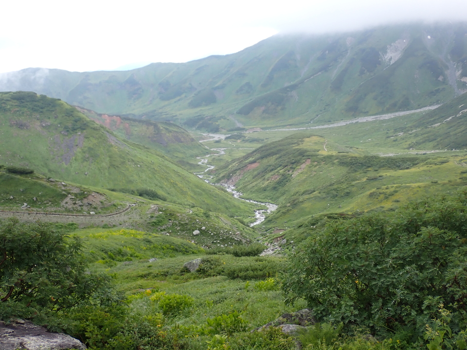 P8262326_mid.jpg