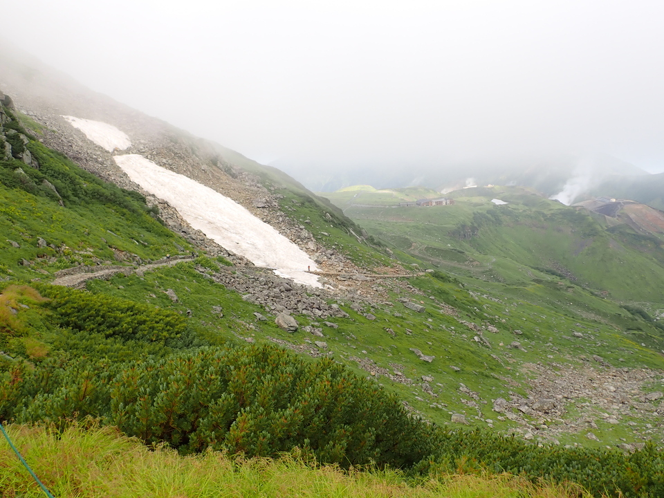P8262333_mid.jpg