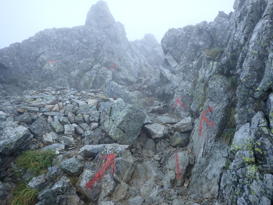 P8262345_mid.jpg