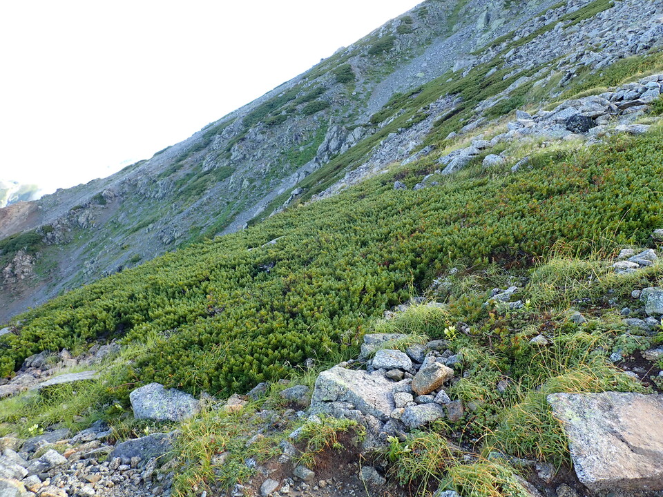 P8262372_mid.jpg