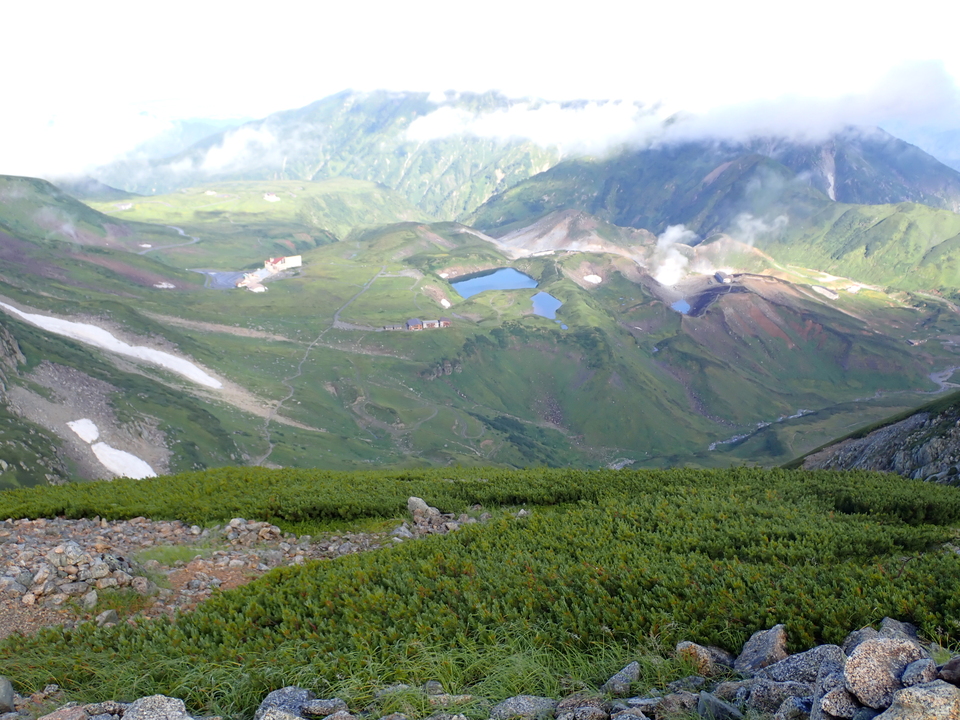 P8262373_mid.jpg