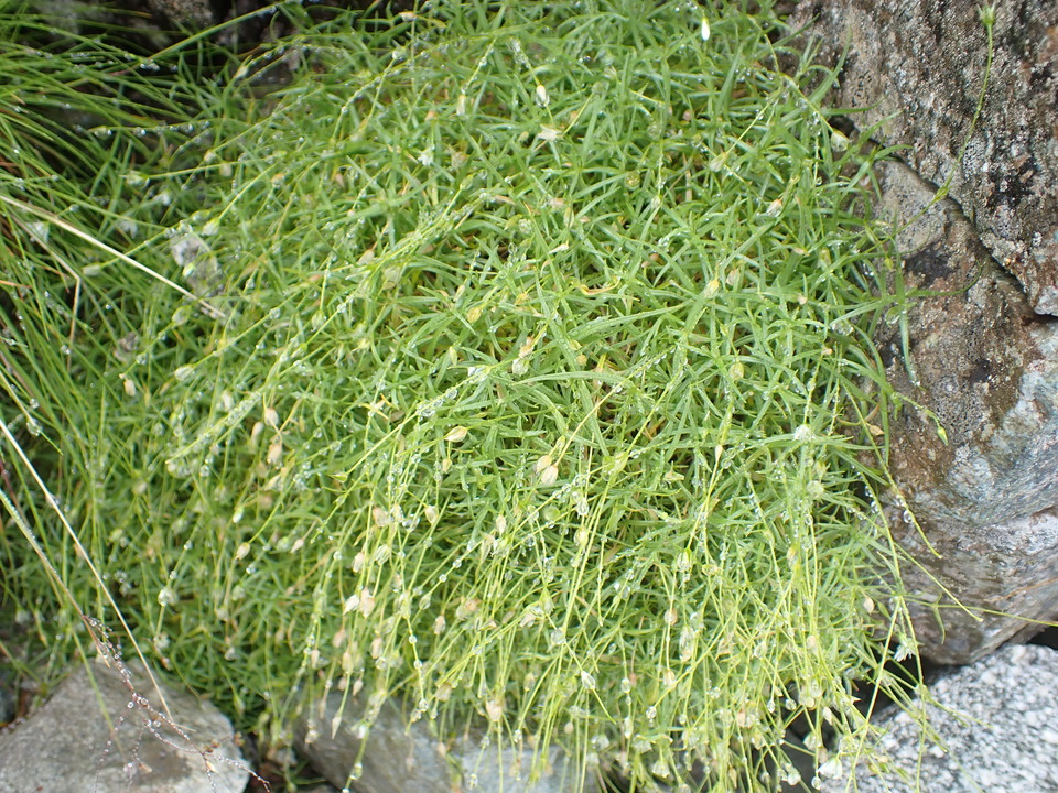 P8262434_mid.jpg