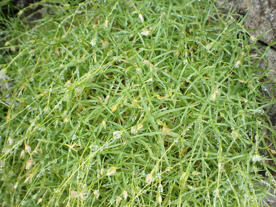 P8262435_mid.jpg