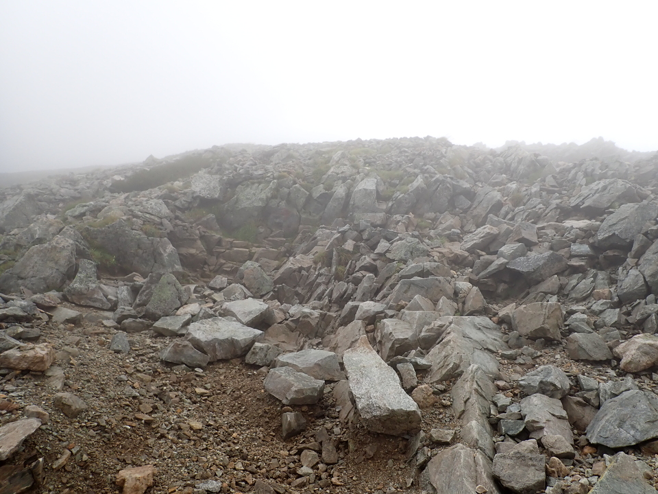 P8262448_mid.jpg