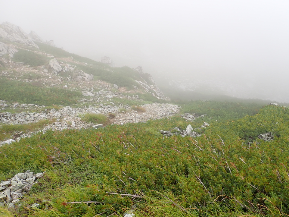 P8262457_mid.jpg