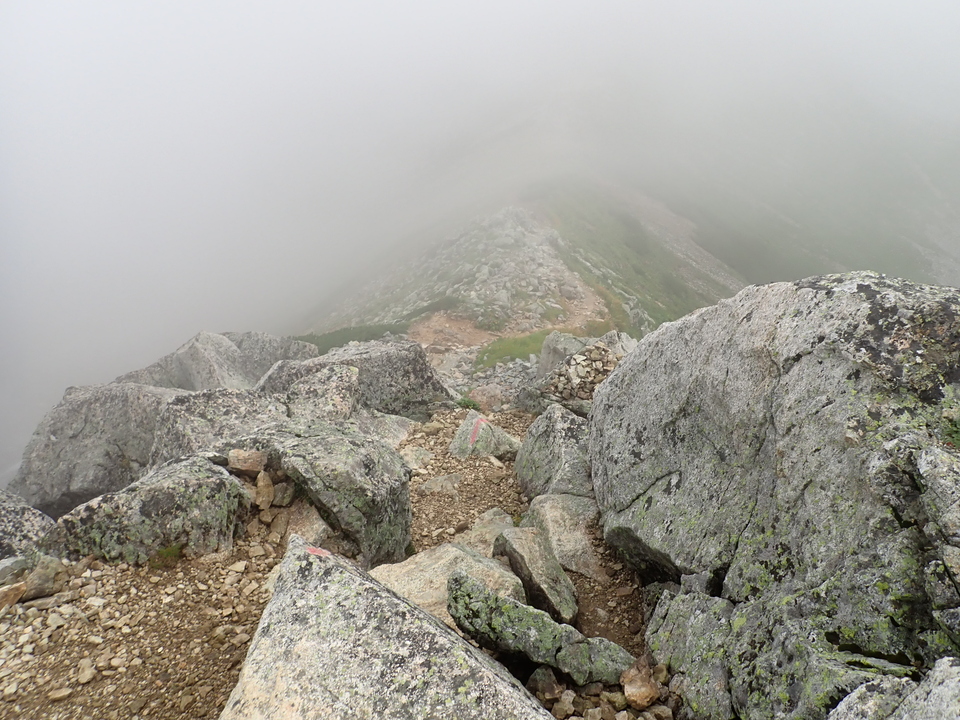 P8262462_mid.jpg