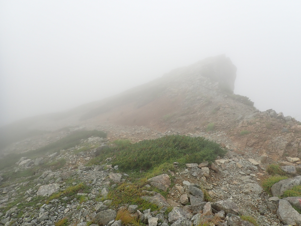 P8262465_mid.jpg