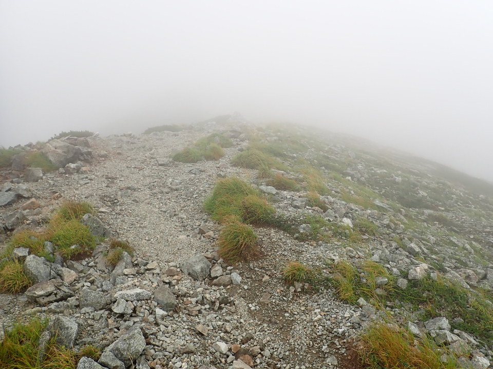 P8262466_mid.jpg