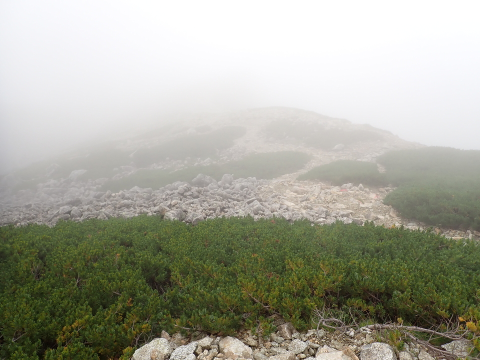 P8262467_mid.jpg