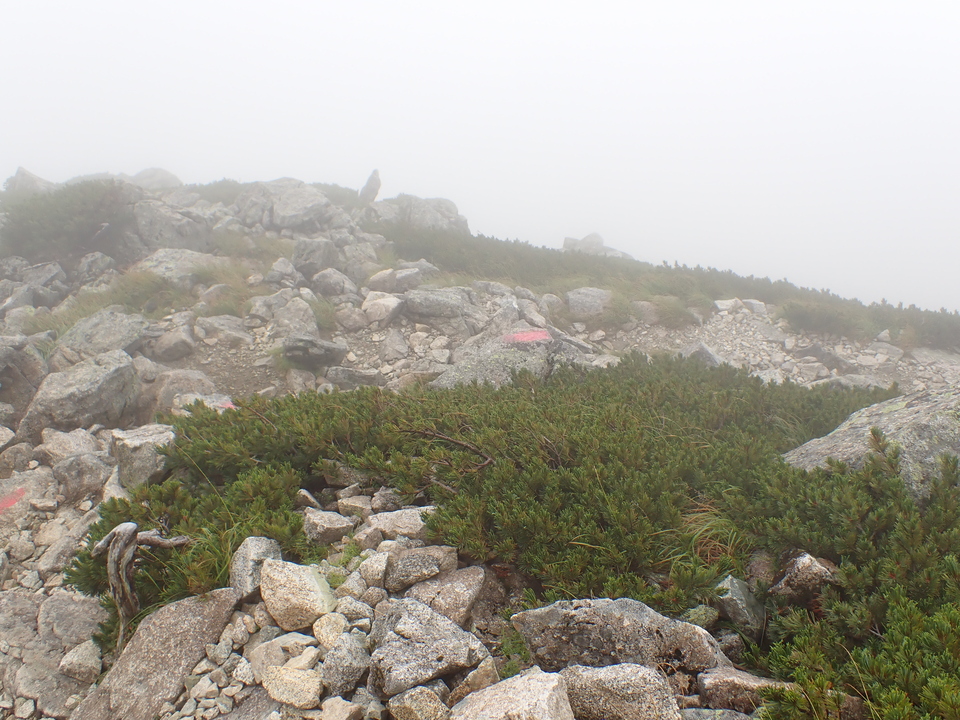 P8262511_mid.jpg