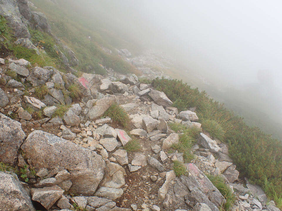 P8262513_mid.jpg