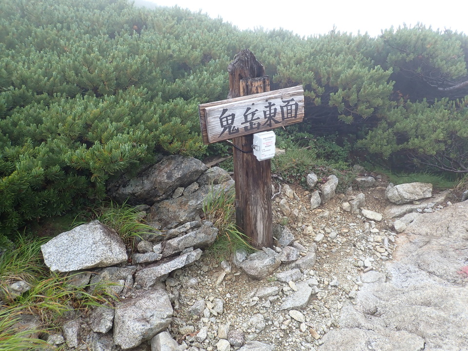 P8262532_mid.jpg