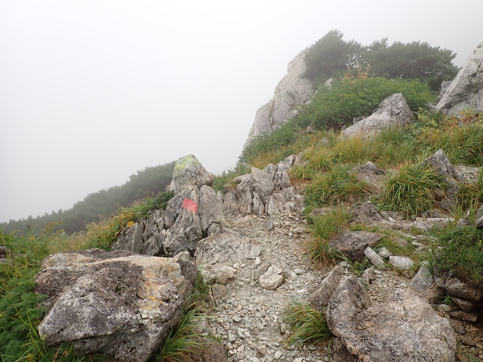 P8262562_mid.jpg
