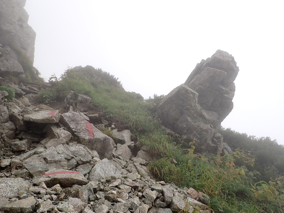 P8262567_mid.jpg