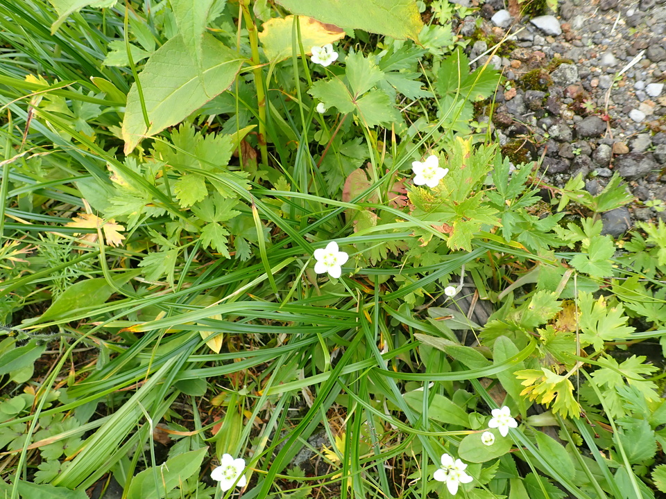 P8262588_mid.jpg