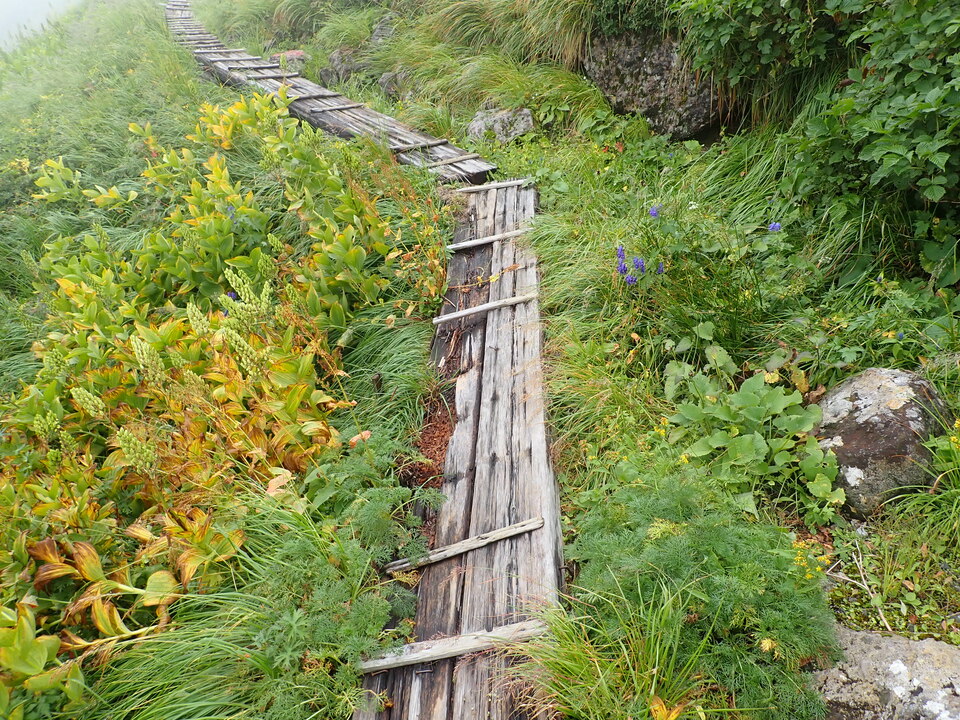 P8262589_mid.jpg