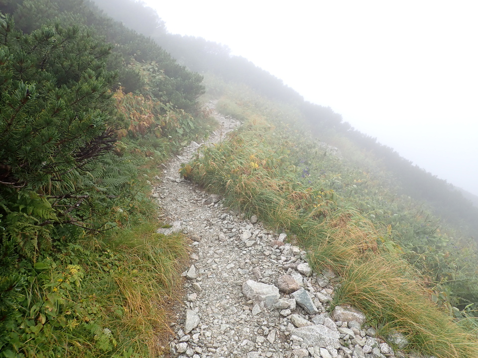 P8262603_mid.jpg