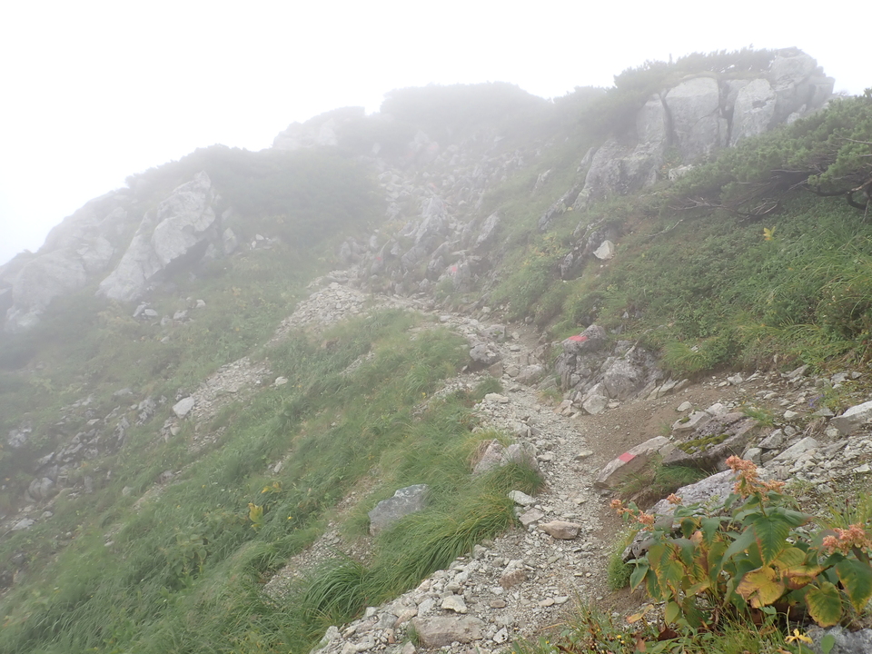 P8262607_mid.jpg
