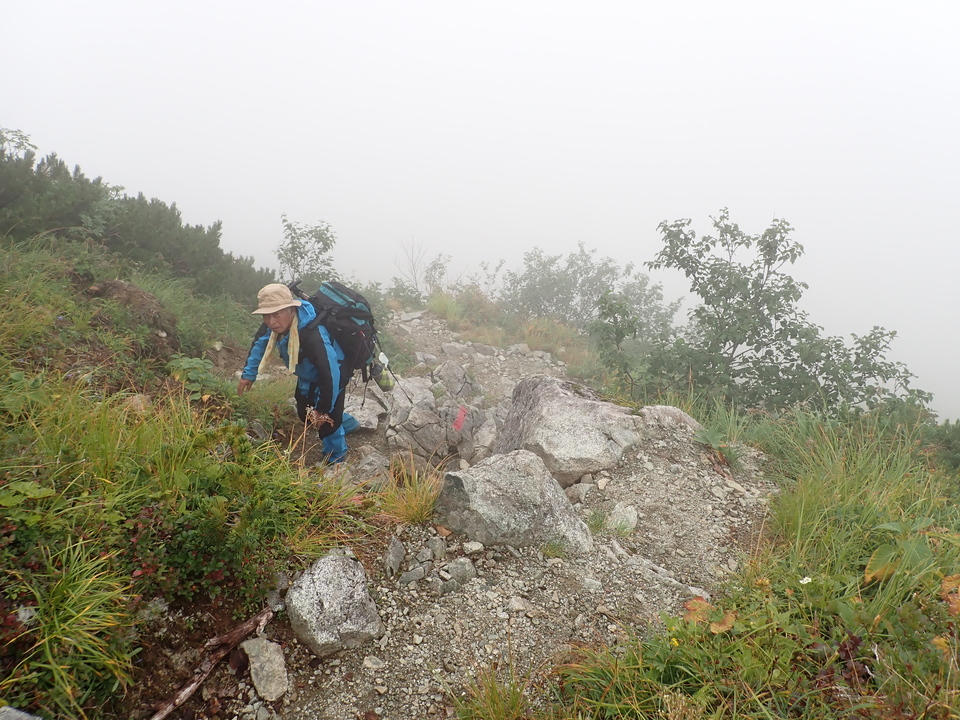 P8262608_mid.jpg