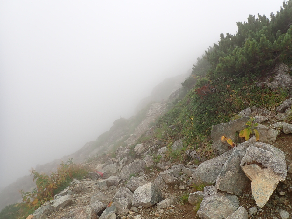 P8262611_mid.jpg