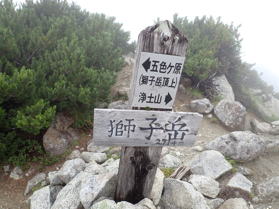 P8262618_mid.jpg