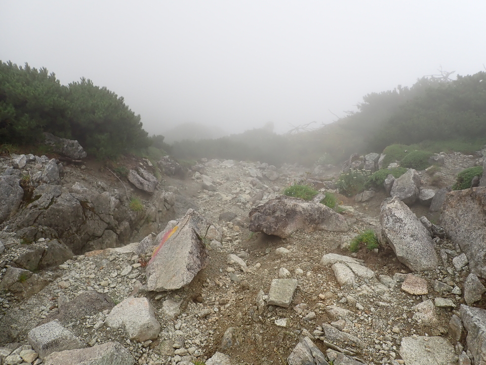 P8262619_mid.jpg