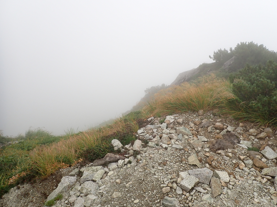 P8262620_mid.jpg