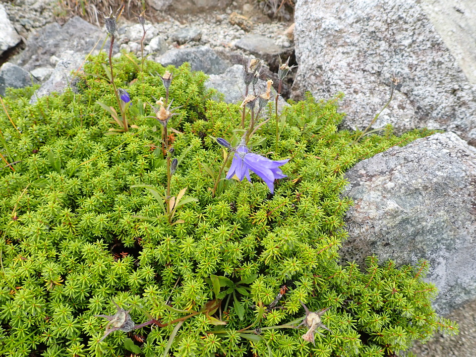 P8262623_mid.jpg